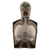 Brayden Advanced CPR Training Manikin - Light Skin - Internals Front