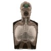 brayden im13 red cpr manikin red illumination showing the front internal components and structure
