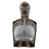 Brayden CPR Manikin - Light Skin - Front Internals