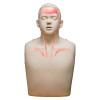 Manikin head and torso showing red anatomical markings on face and chest for Brayden Junior Conversion Kit Front