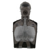 Brayden CPR Training Manikin - Dark Skin - Front Internal