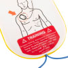 a close up of a drawn image of a mans head and torso showing the correct pad placement underneath is a red warning label in multiple languages that these are for training only  