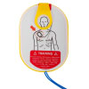 a white oval shape with a yellow edge in the centre is a drawn outline image of a male showing the head and torso, there is a red arrow point to the correct pad placement for defib pads
