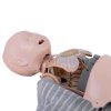 laerdal little baby qcpr training manikin with carry bag light skin showing internal chest and lung structures