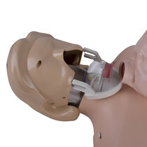 Manikin faces and airways are easy to replace to maintain good hygiene
